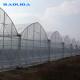 Multispan Sprinkler Irrigation 9m Agricultural Greenhouse Multi Span Greenhouse