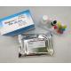Hepatitis B Virus Core Antigen Elisa Home Test Kit 96 Pieces