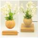 new 360 spining wooden magnetic levitate floating air bonsai tree for decor gift