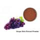 25% Anthocyanins Pure Grapeseed / Grape Skin Extract Powder