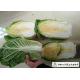 Natural Fresh Chinese Cabbage No Putrefaction No Stain Own Planting