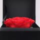 Ecuador Eternal rose luxury gift 10cm preserved rose in Velvet box  preserved rose