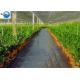 Black/Green/White PP/PE/Plastic Woven Weed Control Geotextile/Fabric for Agriculture/Garden/Landscape