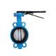 Model NO. D71X-16Q Ductile Iron Butterfly Valve for Industrial Lever Applications