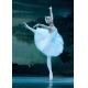 The new 2016 adult ballet TUTU dress adult costumes professional ballet swan lake show