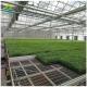 Seedbed Plant Nursery Equipment Movable Mesh Grow Table Vegetable Planting