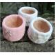 Succulent Plant Ceramic Pot for Home and Garden Decoration