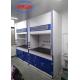 Fireproof FRP Material Lab Fume Cupboards For Wall Mounted Safety Features