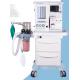 8.4 Vet Anesthesia Machine Control Mechanical Electronic Display Flowmeter