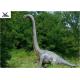 18 Meters Giant Realistic Dinosaur Models , Life Size Farm Animal Models 