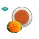 Lutein and Zeaxanthin Marigold Extract Tagetes erecta L. Extract for Eye Health