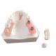 FDA All Zirconia Crown with Implant-Supported Dentures for Dental Lab