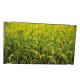 42.0 Inch TFT LCD Display Module P420HVN03.1 AUO LCD Panel