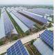 Customization Multi-Span Arch Type Cucumber Lettuce Photovoltaic Greenhouses jx-SG-20