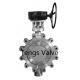 Cast Stainless Steel Eccentric LUG Type Manual Gearbox Butterfly Valve