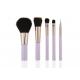 6 Piece Travel Makeup Brush Set With Plastic Handle , Synthetic Hair Makeup Brushes