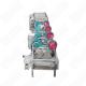 Small Double-Cylinder Bubble Washing Machine Single-Cylinder Fruit Cleaning Equipment Tobacco Leaf Vegetable Cleaner