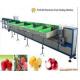 fruit washing sorting machine / weight sorting machine for Fruit