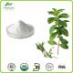 Wholesale Organic Sugar Plant Stevia Powder / Stevioside SG90%