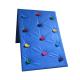 Plastic Kids Outdoor Climbing Wall Stones Customized Size For Park / School