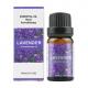 High Quality Essential Oils Aromatherapy Essential Oils Fragrance oil 10ml