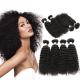 100% Non Processed Peruvian Human Hair Bundles Curly Styles Soft And Alive