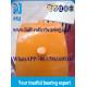 OEM Orange Cast Iron Pillow Block Bearing With Seals 22352+H2352