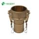 Brushed Brass Camlock Hose Coupling Type A B C D DC for Industrial Fluid Systems