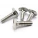 Customized Stainless Steel Cup Head Nib Bolt Carriage Bolt Medium Carbon Steel Material