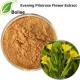 10/1 Evening Primrose Flower Extract Cosmetics Ingredients