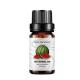 OEM Watermelon Essential Oil Aromatherapy For Diffuser Custom 100% Pure