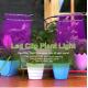 3 Switch Dimmable Led Grow Lights 16W For Indoor Plants