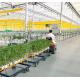 Single or Multi Span Juxiang Dual-Layer Film Greenhouse for Flower Production Green