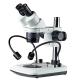 Stereo microscope dual side lighting boom stand  dual power  two magnification