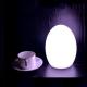 3500K Rechargeable Egg Shaped LED Lights Plastic Material For Kids Gift