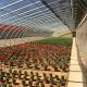 Optimize Growth with Outside and Inside Shading System in Hydroponic Tomato Greenhouse