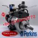 Fuel Injection Common Rail Pump 28523703 320/0692 For Delphi Perkins JCB