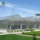 10.8m Polycarbonate Aluminium Greenhouse With Dome Roof Customized