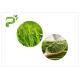 Removing Pigmentation Green Health Powder Green Grass Powder Highly Safe