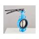 Replaceable Rubber Liner Double Shaft Wafer Type Butterfly Valve for Water Media