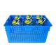Customized Color Plastic PP Dislocation Basket for Fruit Moving Fresh Food Crate