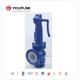 PTFE Balanced Bellows Safety Relief Valve , Flanged Spring Type Safety Valve