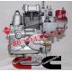 NTA855 For Cummins Diesel Engine Parts Fuel Injection Pump 4951501 3262033 3045281 3973228 3021966