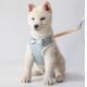 Soft No Pull Adjustable Breathable Mesh Leash And Cat Chest Harness For Puppy
