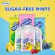 Do's Farm Sugar Free Mint Candy Fresh Breath Cool Taste Portable 7.16g Boxed