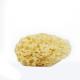 Soft and Gentle Infant Bath Sponge for Sensitive Skin Natural Sponge Size Is 8*8*4.2CM And Weight Is 10Gram Yellow color