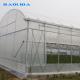 plastic film Hobby Structure Multispan Tunnel Plastic Greenhouse