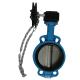 Metal Lever Cast Iron Body Wafer End Type Dn50 Butterfly Valve