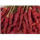 Block Shape Xian Chilli Seasoning Stemless Long Dry Red Chilli