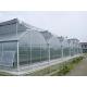 Agriculture PC Sheet Greenhouse Fashionable Appearance With 3 Roofs Every Span